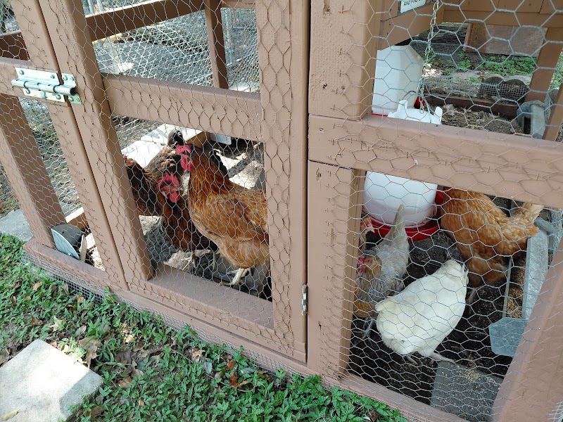 The Remedy Farm photo 5