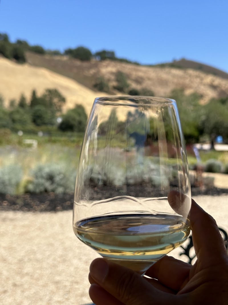 Horse Thief Vineyards photo 5