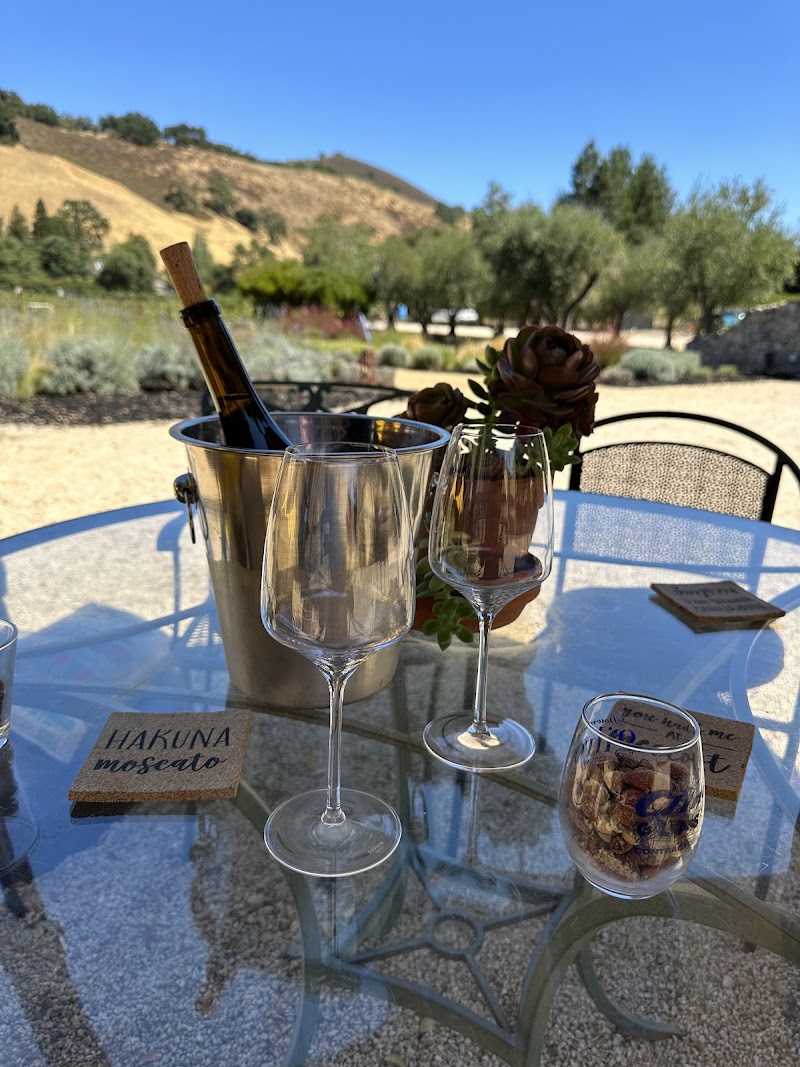 Horse Thief Vineyards photo 2