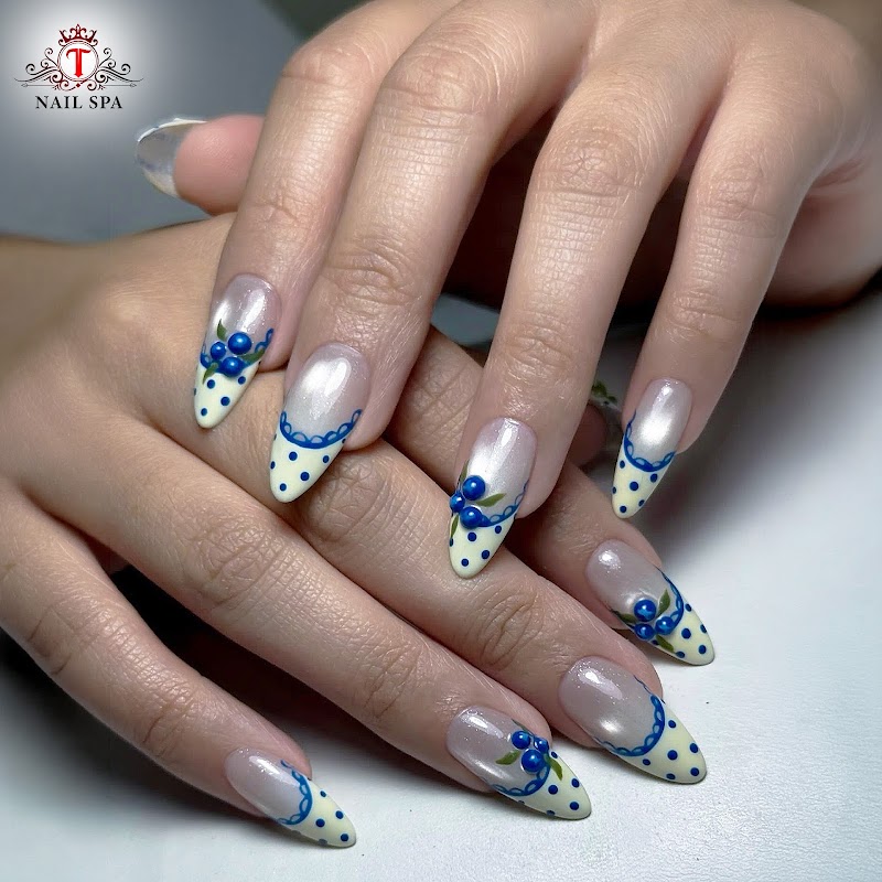 T Nail Spa photo 5