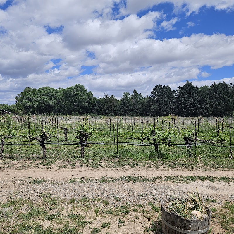 Winey Cats at Granite Creek Vineyards photo 5