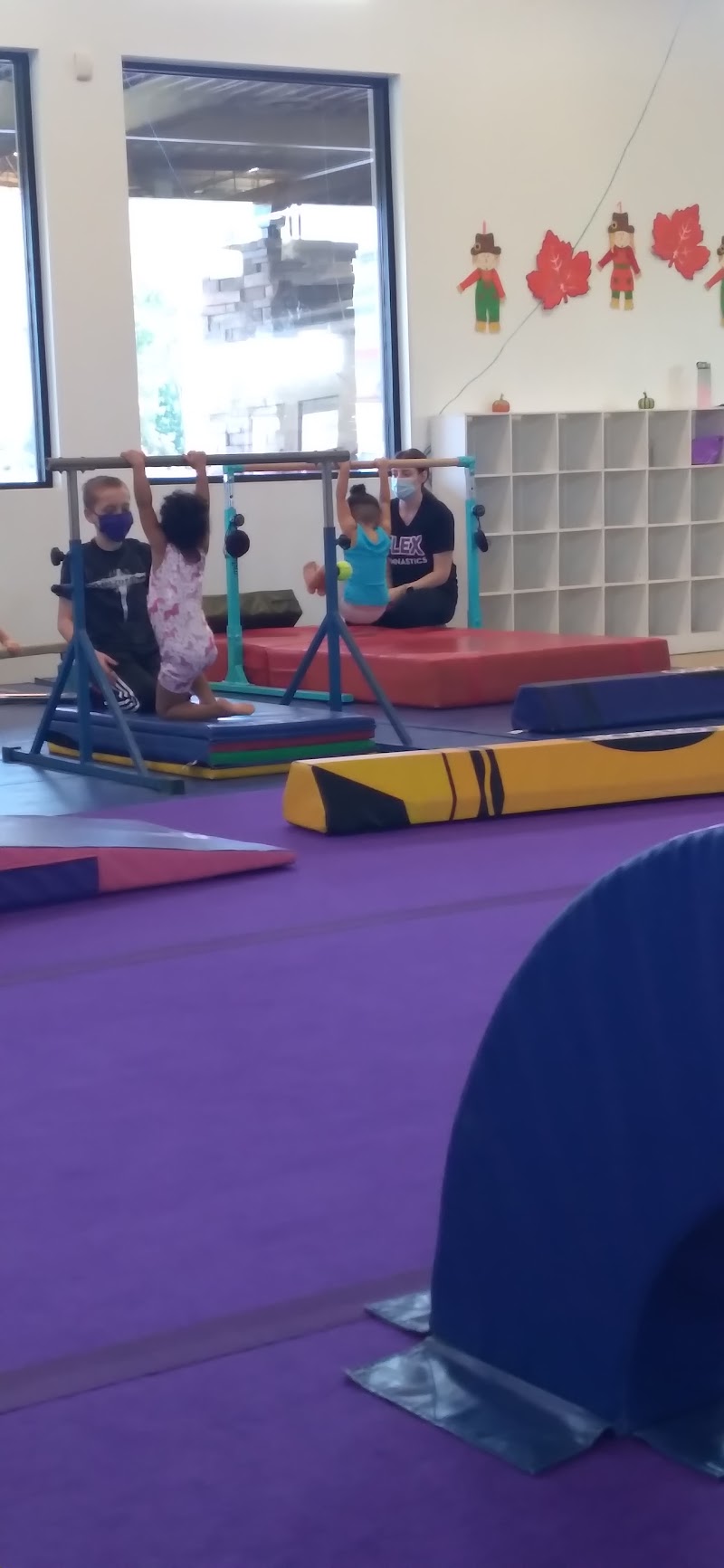 Flex Gymnastics AZ photo 5