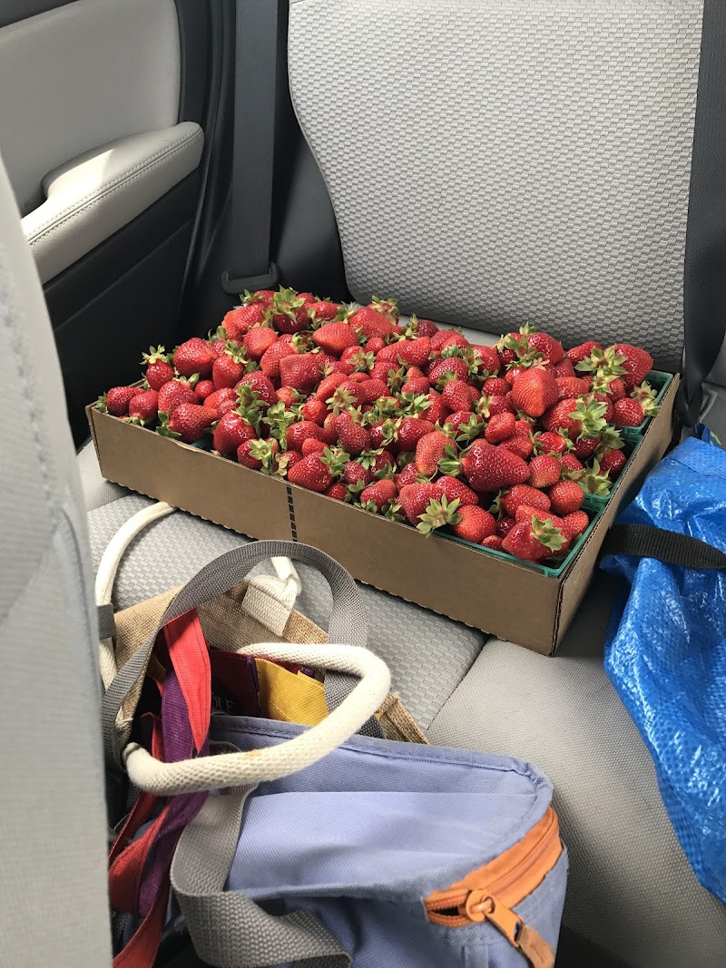 Photo of Lao Strawberries