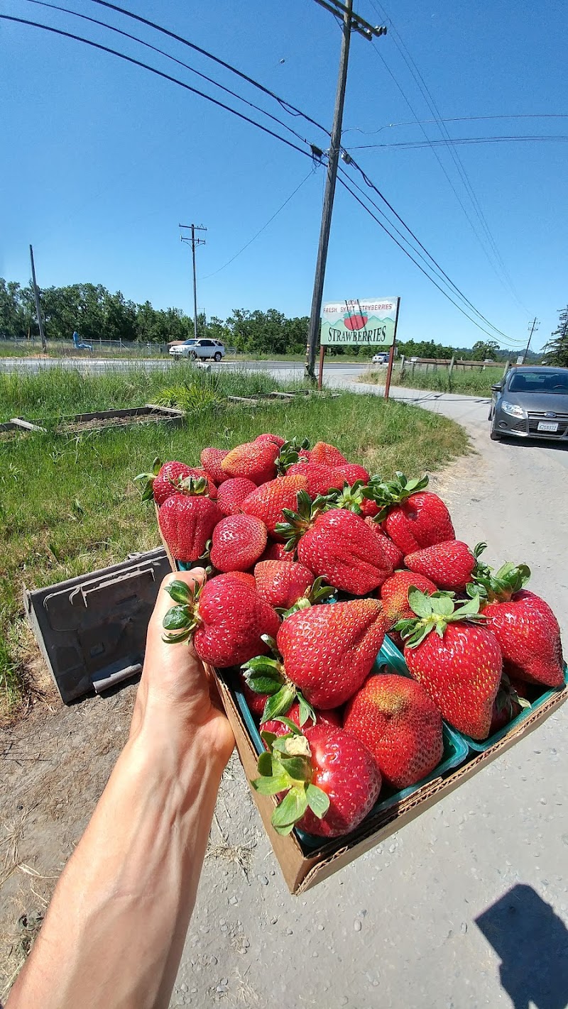 Lao Strawberries photo 5