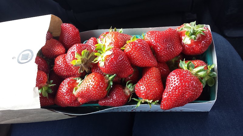 Lao Strawberries photo 2
