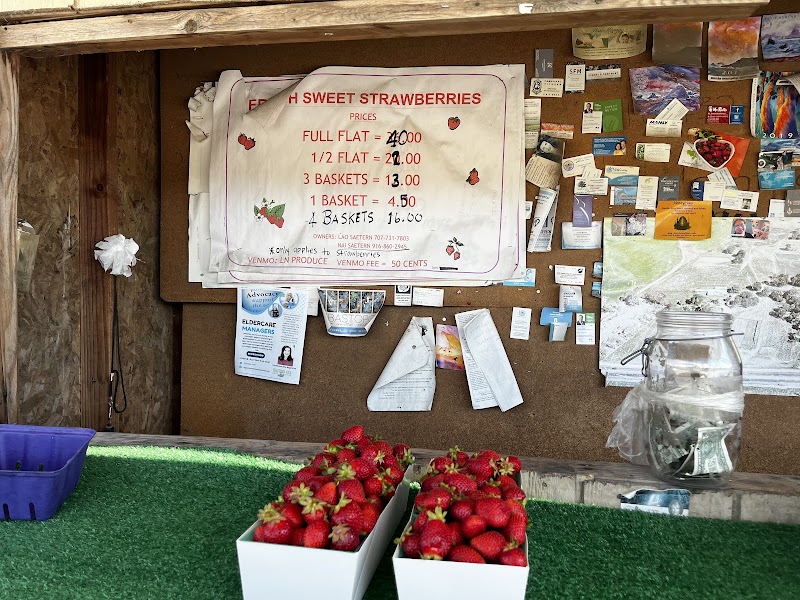 Lao Strawberries photo 3