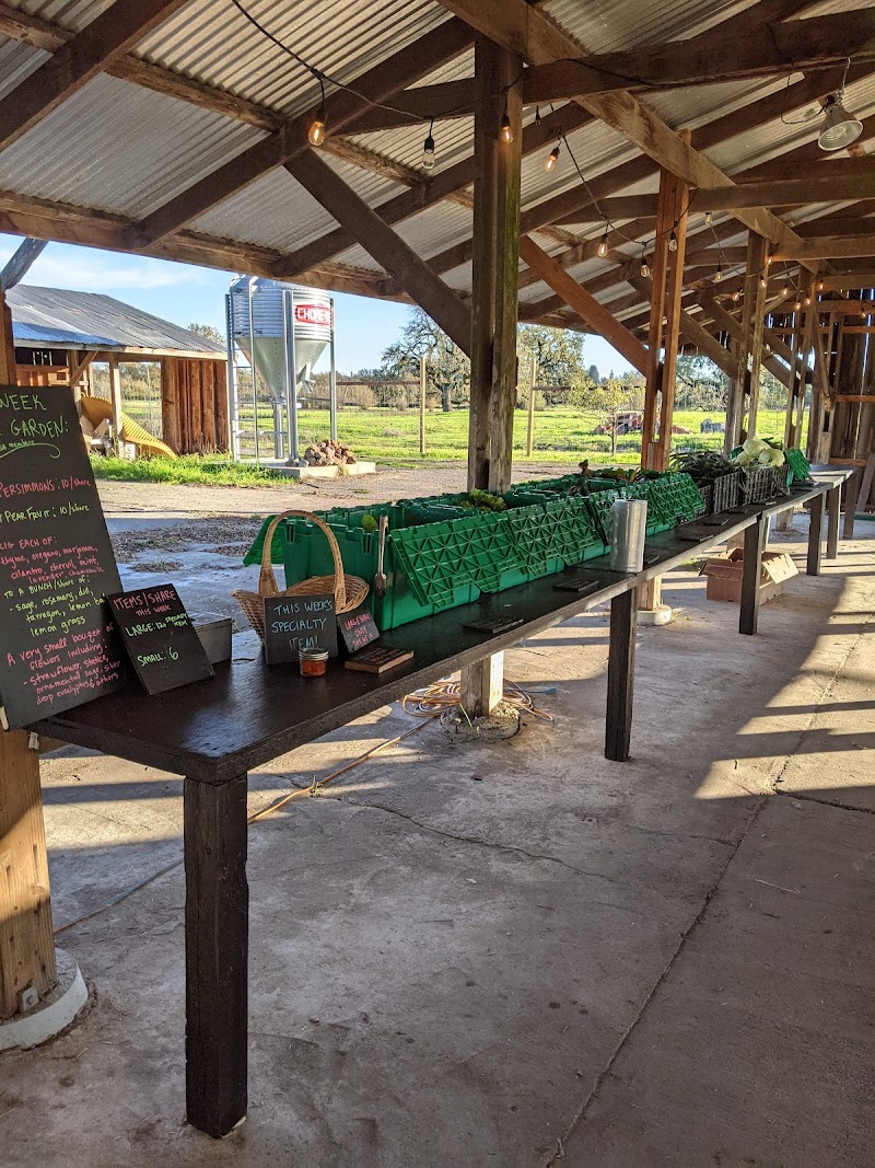 Photo of Winter Sister Farm