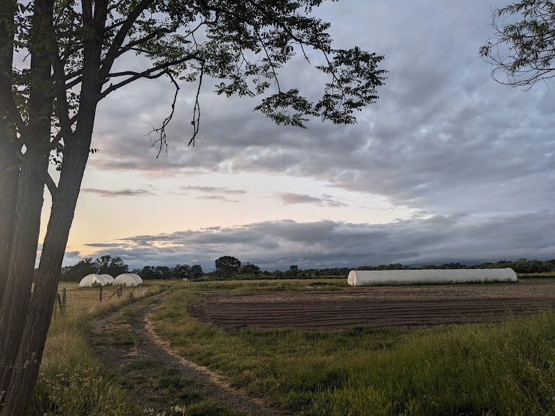 Winter Sister Farm photo 2