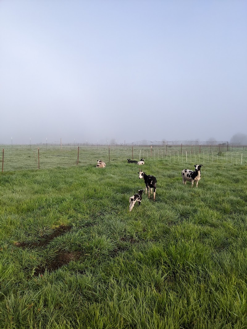 Winter Sister Farm photo 5