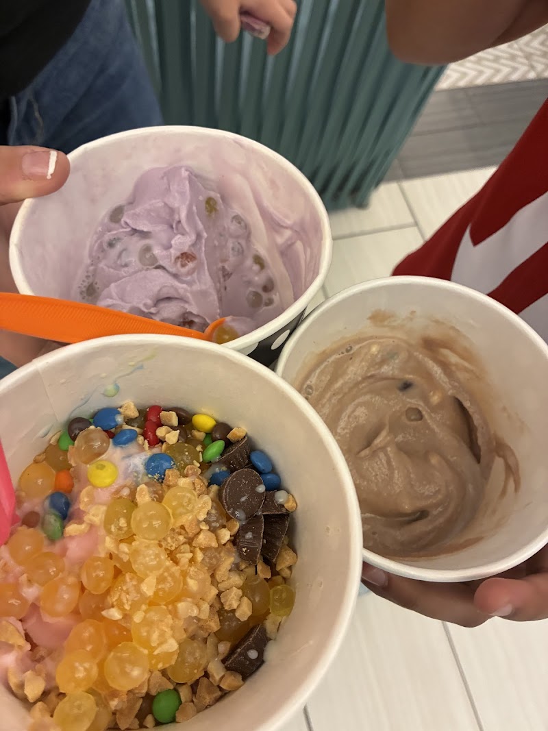 San Froyo photo 4