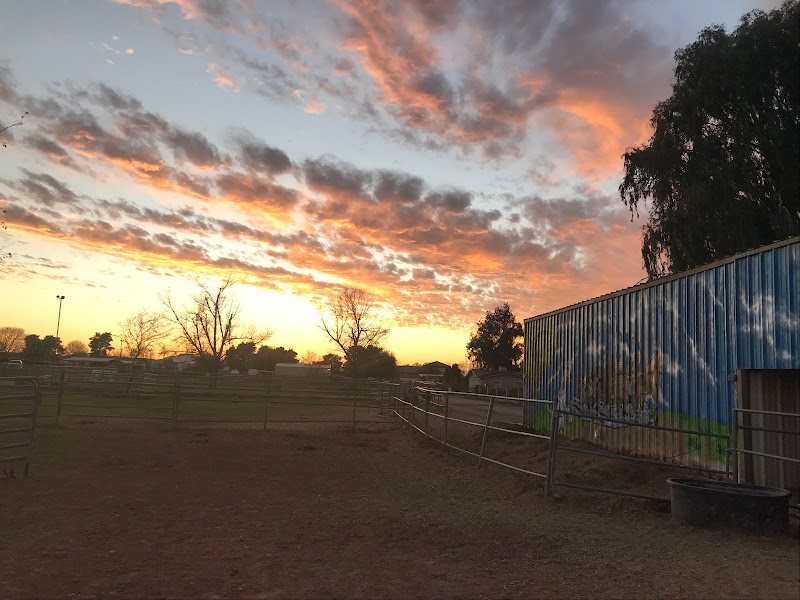 Serenity stables photo 3
