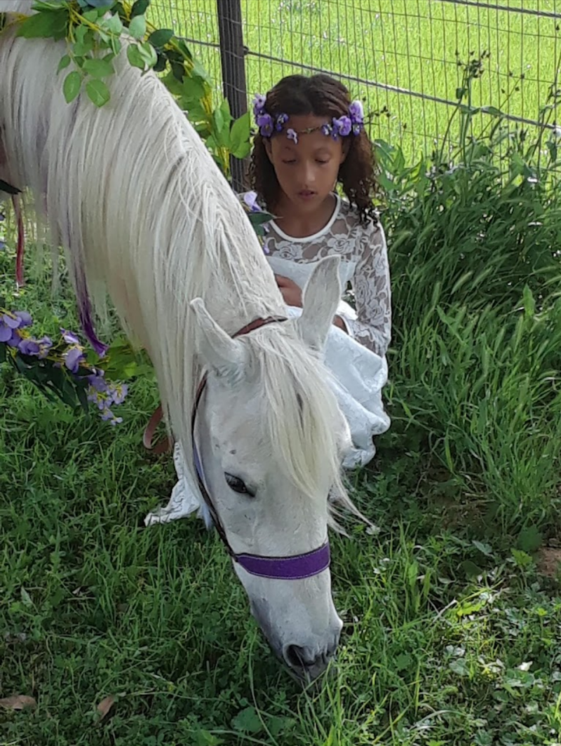 Serenity stables photo 4