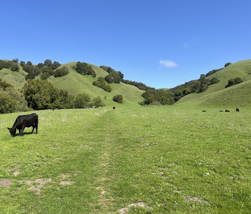 Briones Regional Park photo 2