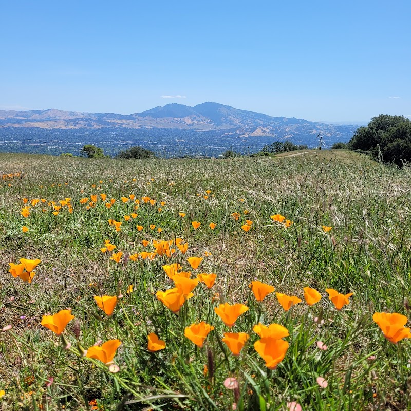 Briones Regional Park photo 5
