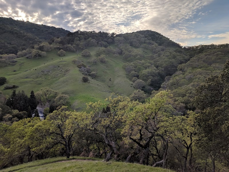 Briones Regional Park photo 3