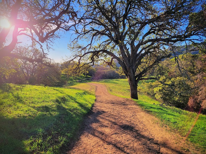 Briones Regional Park photo 4