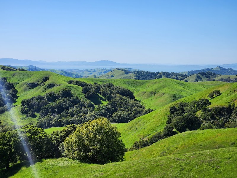 Photo of Briones Regional Park