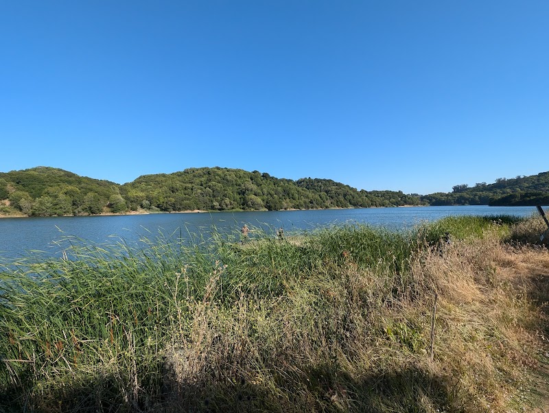 Photo of honker bay-scenic view