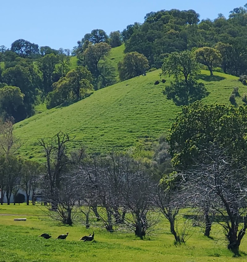 Keating Park photo 3