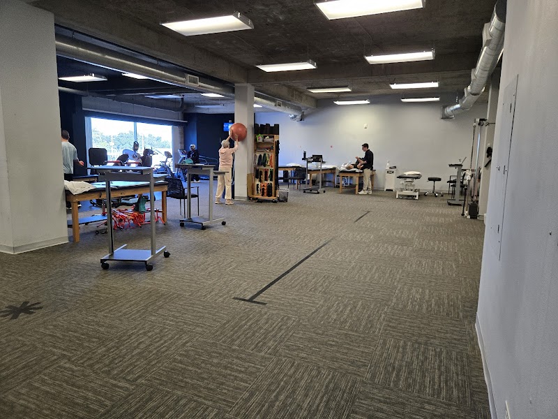 Optimal Performance & Physical Therapies - Central Tampa photo 4