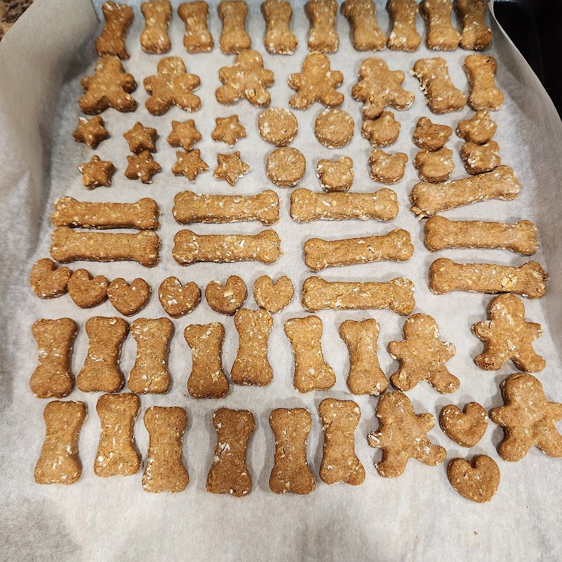 Photo of TreatsforTails