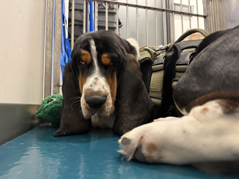 Valley View Pet Hospital photo 2