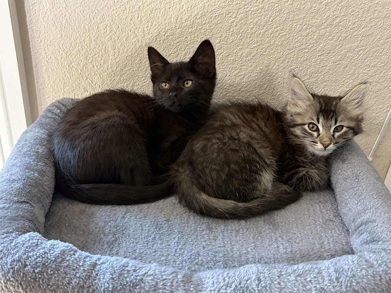 Valley View Pet Hospital photo 5