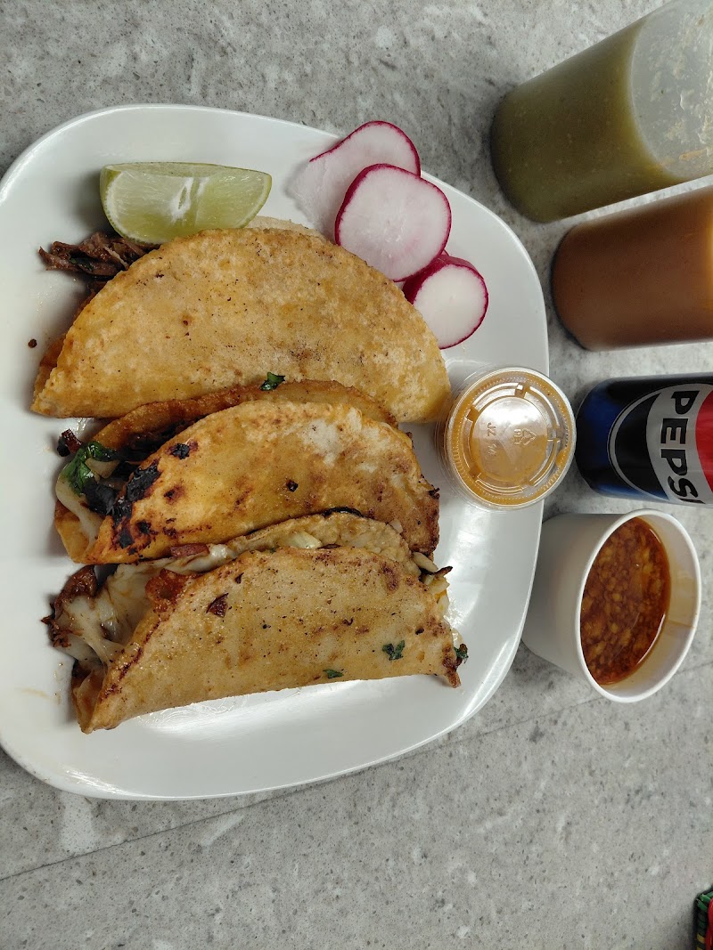 Taqueria Luna photo 5