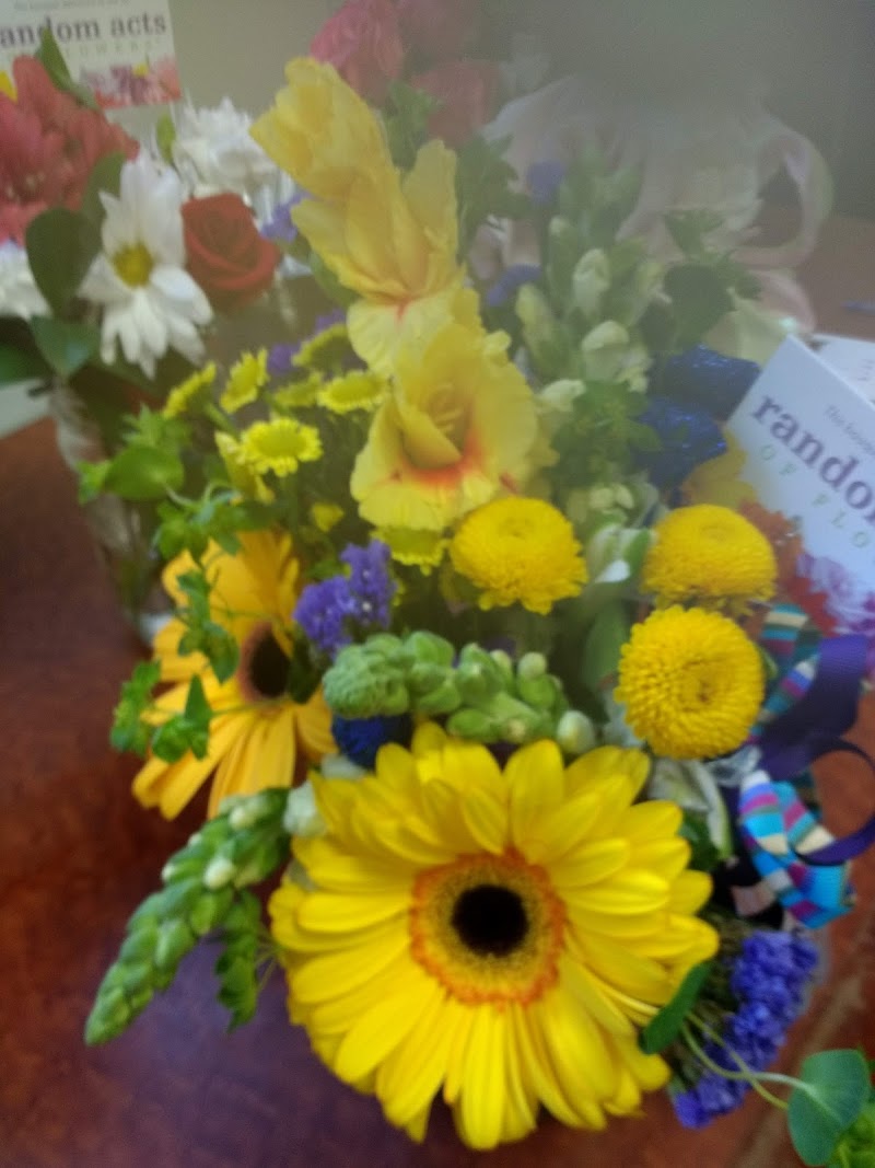 Random Acts of Flowers - Tampa Bay photo 4