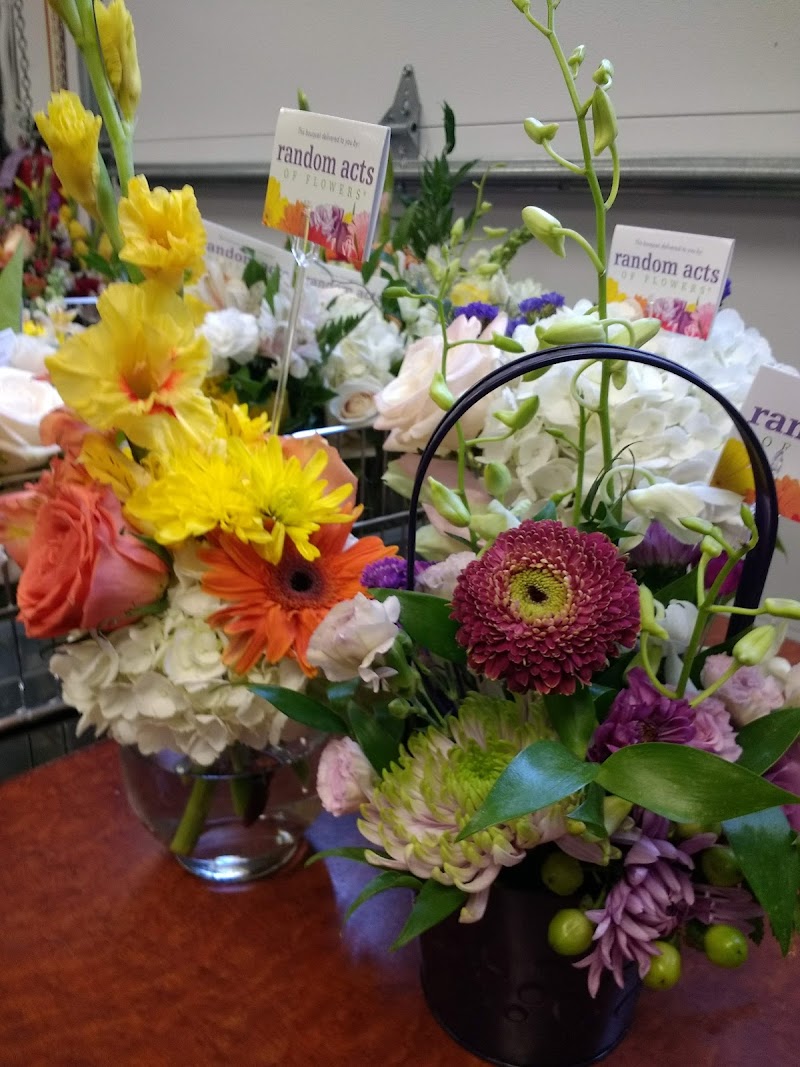 Random Acts of Flowers - Tampa Bay photo 2