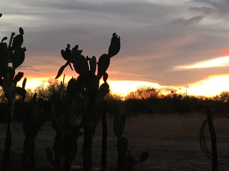 Pinal's Best Shuttle Service photo 4