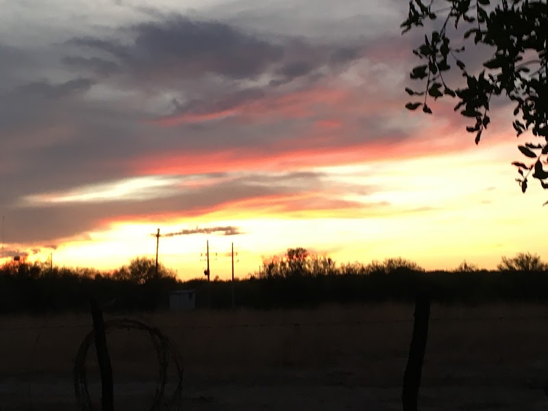 Pinal's Best Shuttle Service photo 2