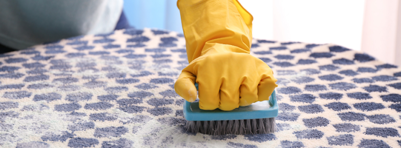 Best Saratoga Carpet Cleaning photo 4