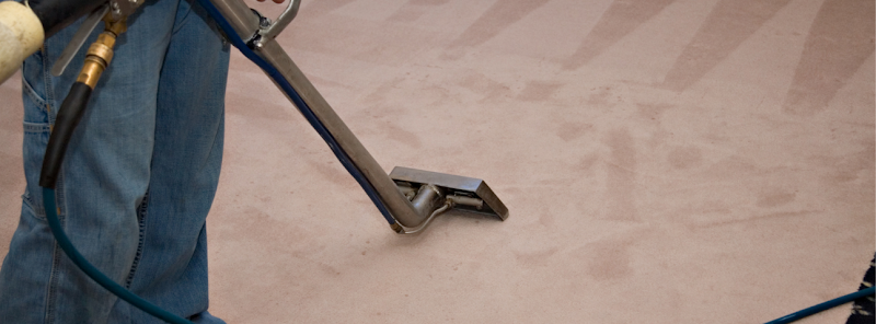 Photo of Best Saratoga Carpet Cleaning