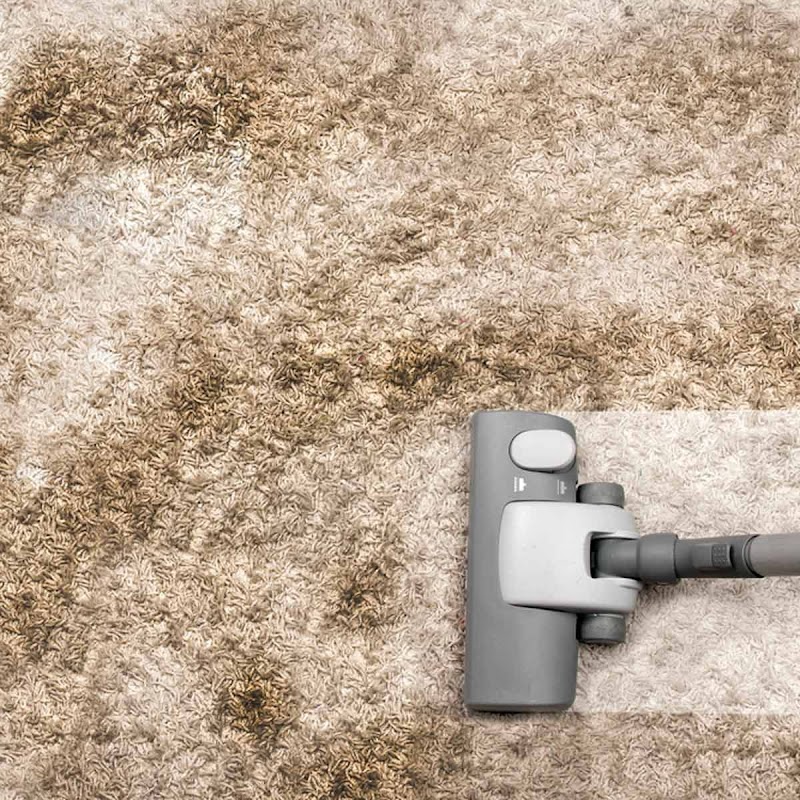 Best Saratoga Carpet Cleaning photo 3