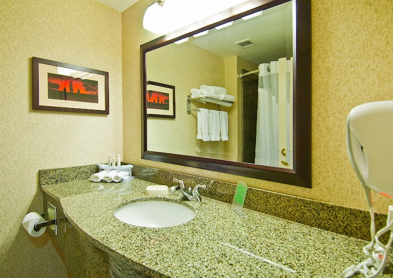 Holiday Inn Express & Suites Oro Valley-Tucson North by IHG photo 4
