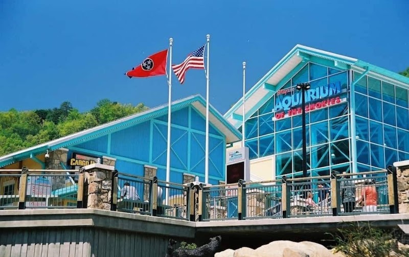Ripley's Aquarium of the Smokies photo 5
