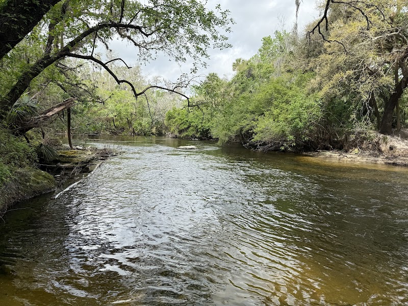Photo of Fishhawk Creek Nature Preserve North