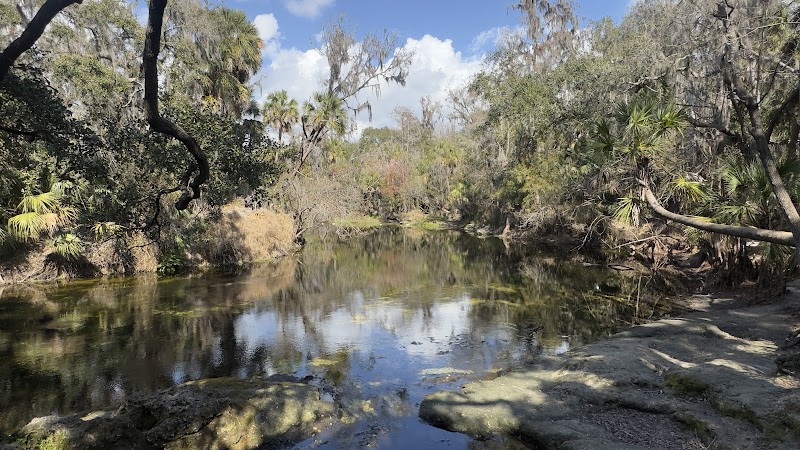 Fishhawk Creek Nature Preserve North photo 3