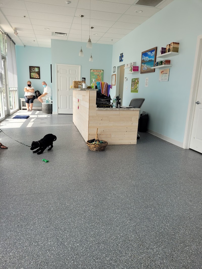 Sun City Center Veterinary Clinic photo 5