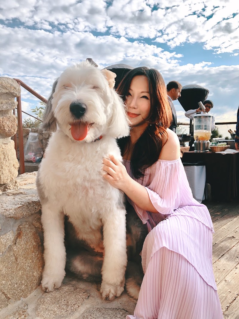 Namast'ay Dog Spa photo 4
