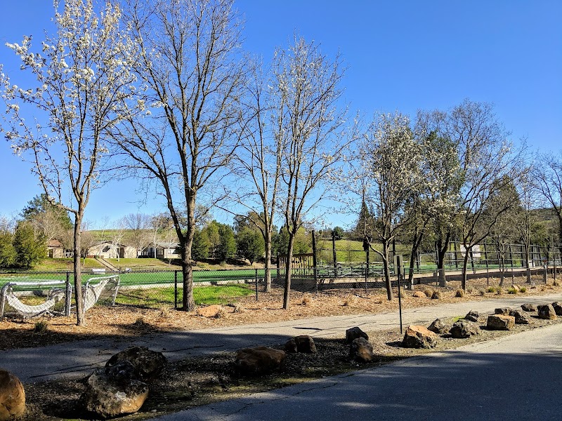 Photo of Estakhri Family All Weather Sports Field - 1