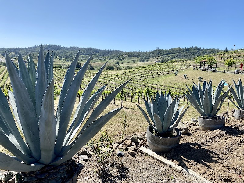 J. Rickards Winery photo 4
