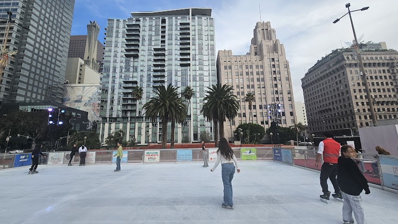 Holiday Ice Rink photo 5