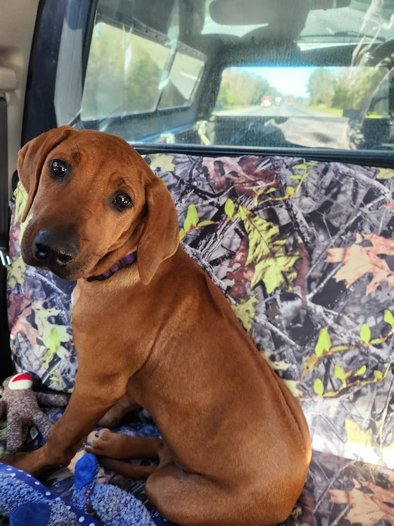 Photo of All County Animal Hospital