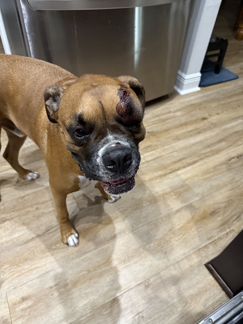 All County Animal Hospital photo 2
