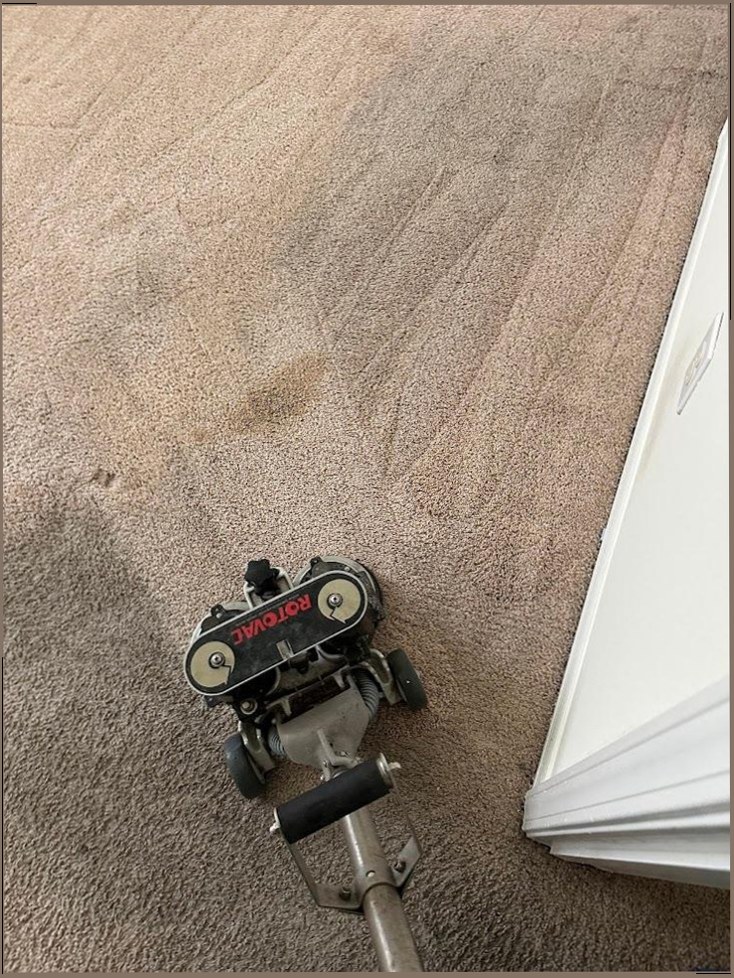 George & Sons Carpet Service photo 2