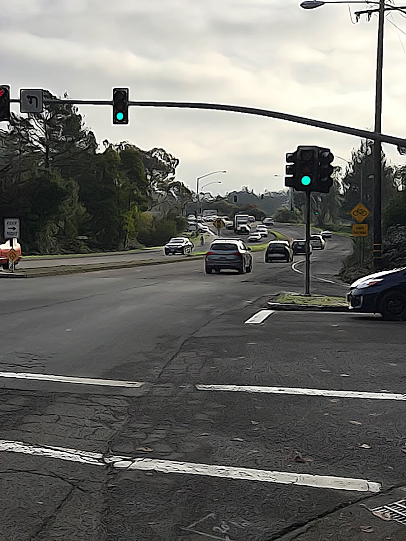 E Blithedale Ave & Tower Dr photo 4