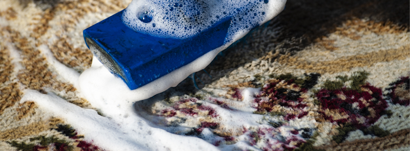 Photo of All Seasons Carpet Cleaning