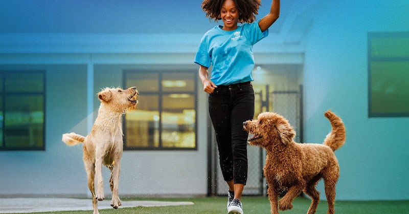 Photo of Pet Paradise Apollo Beach